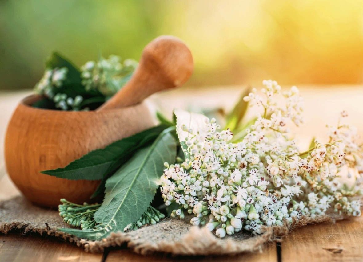 Let’s Talk About Valerian and Its Health Benefits